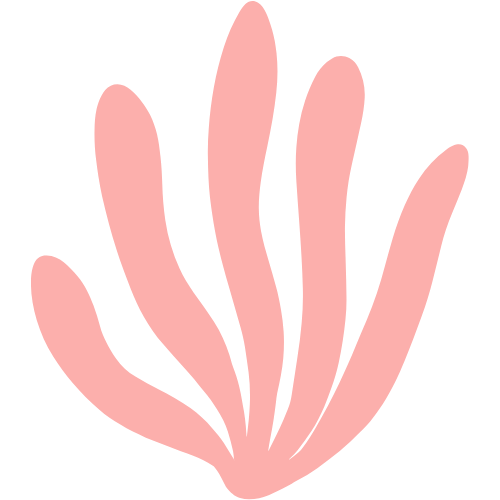 A stylized pink coral branch on a black background.