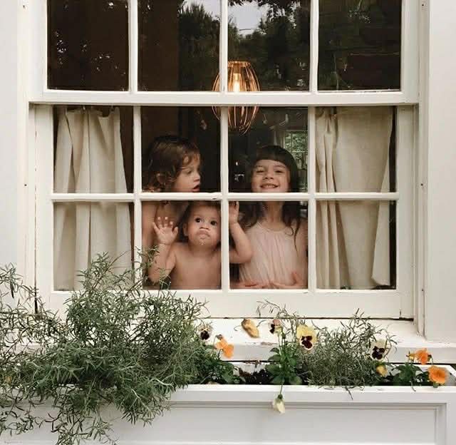 20dee6af-48ea-48b1-ad26-599c405c8cc1.jfif (Copy)