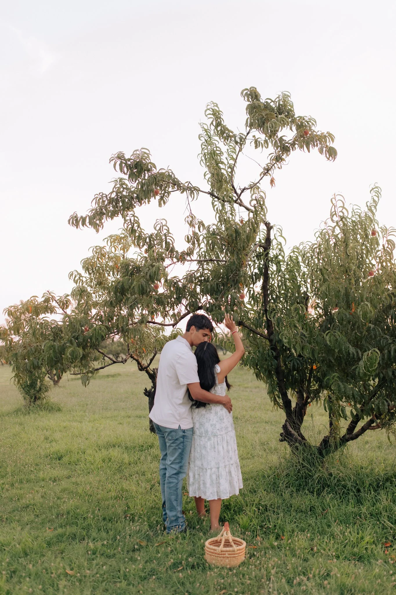 A couple embracing under a tree in a grassy field during daylight, with a basket on the ground nearby.