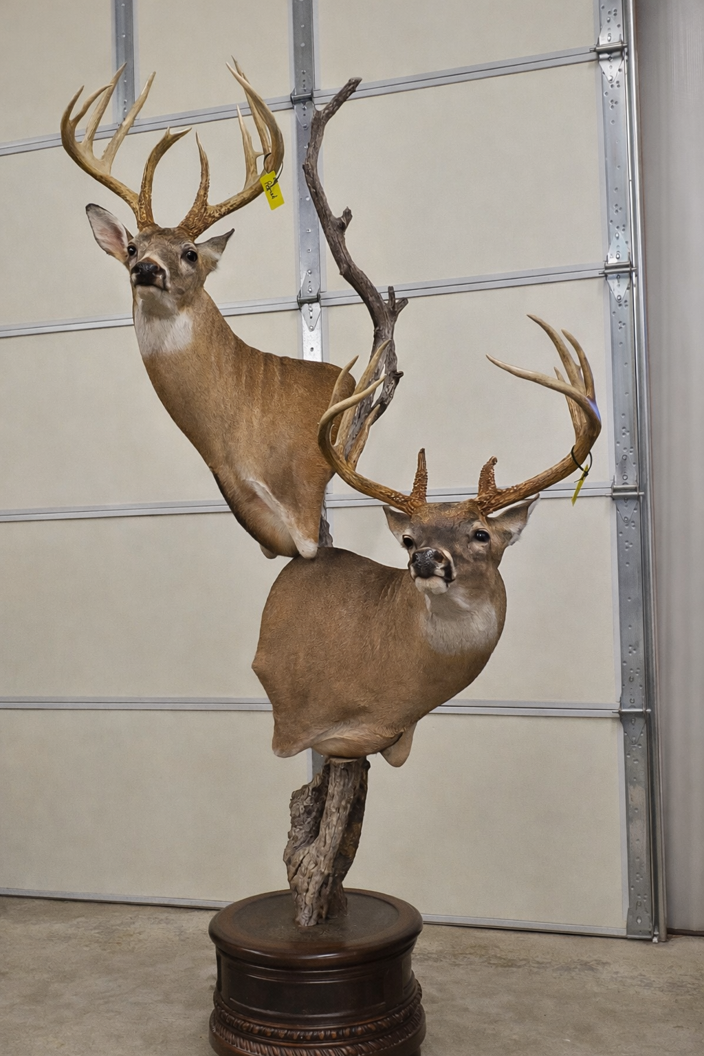 ChatGPT Image Feb 16, 2026, 11_31_41 AM.png