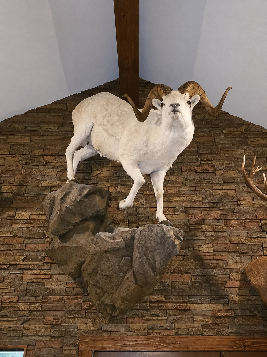 Ram Van.png
