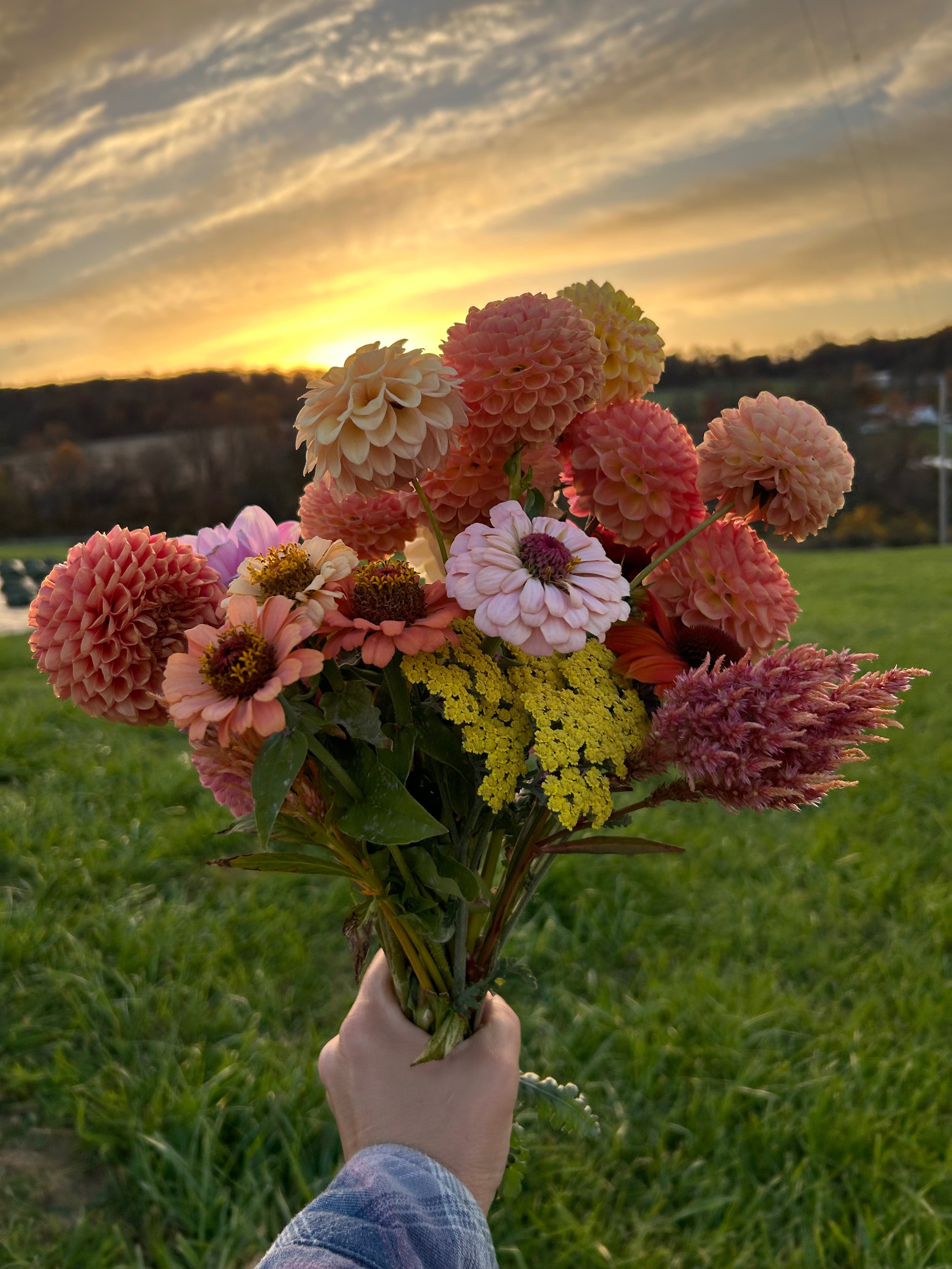 Bouquet of Flowers at Sunrise