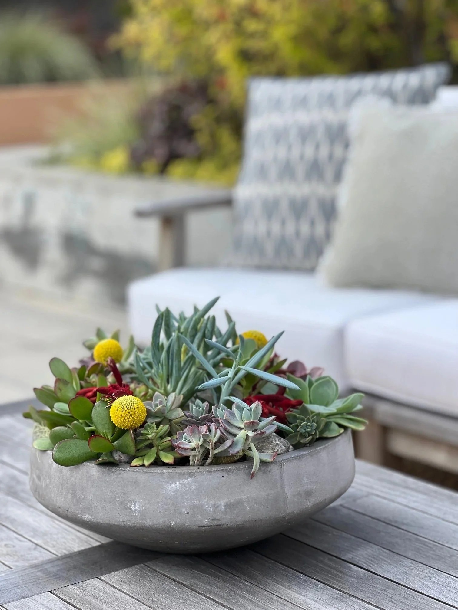Botanical Services