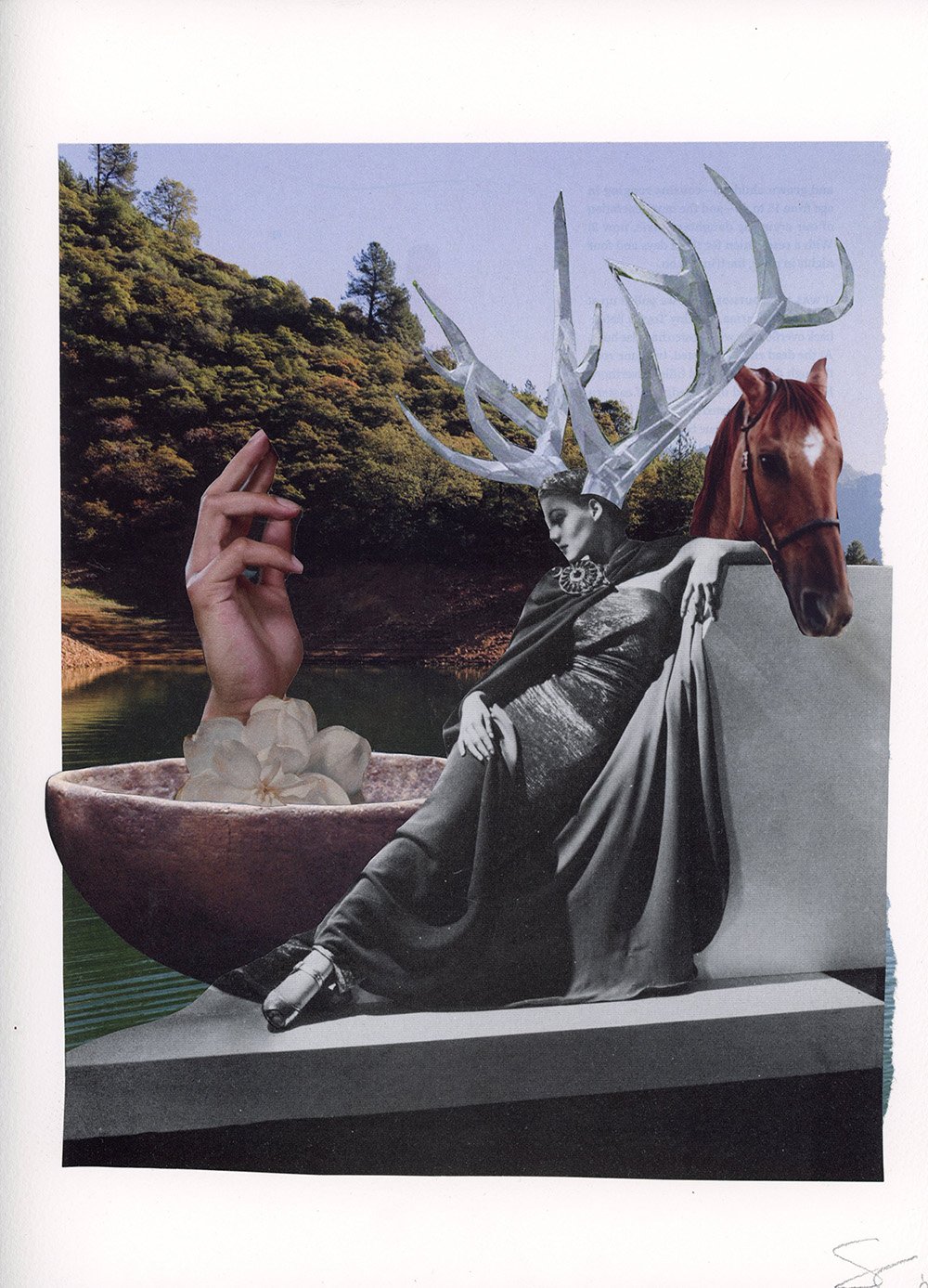 horses.jpg