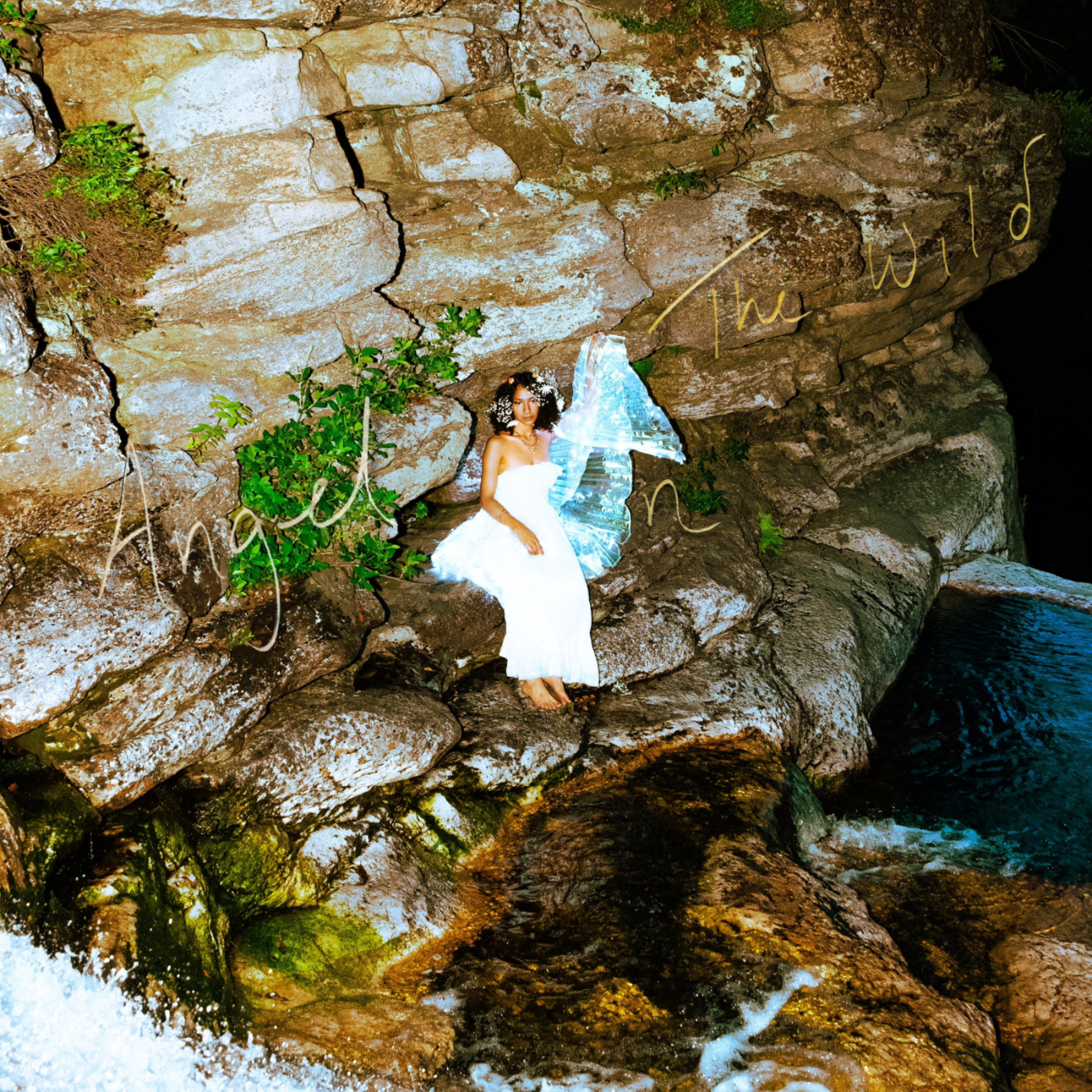 Avangelia - Angel In the Wild