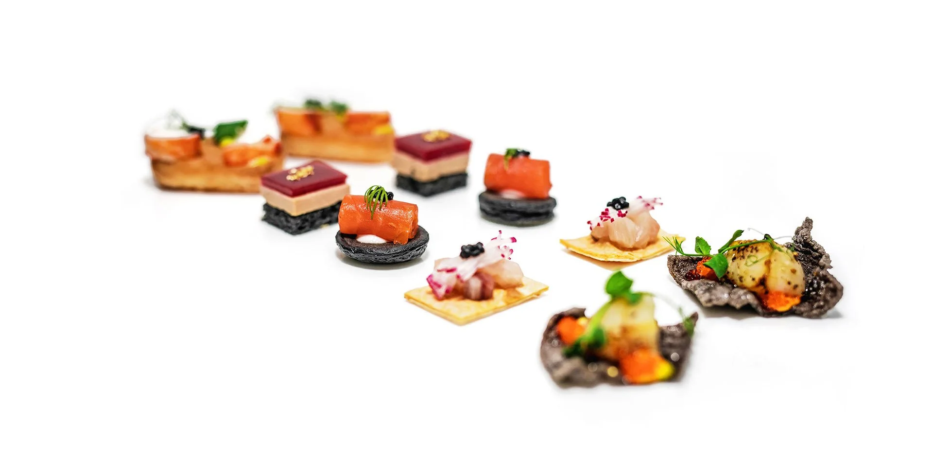 Array of assorted gourmet appetizers and hors d'oeuvres arranged on a white background.