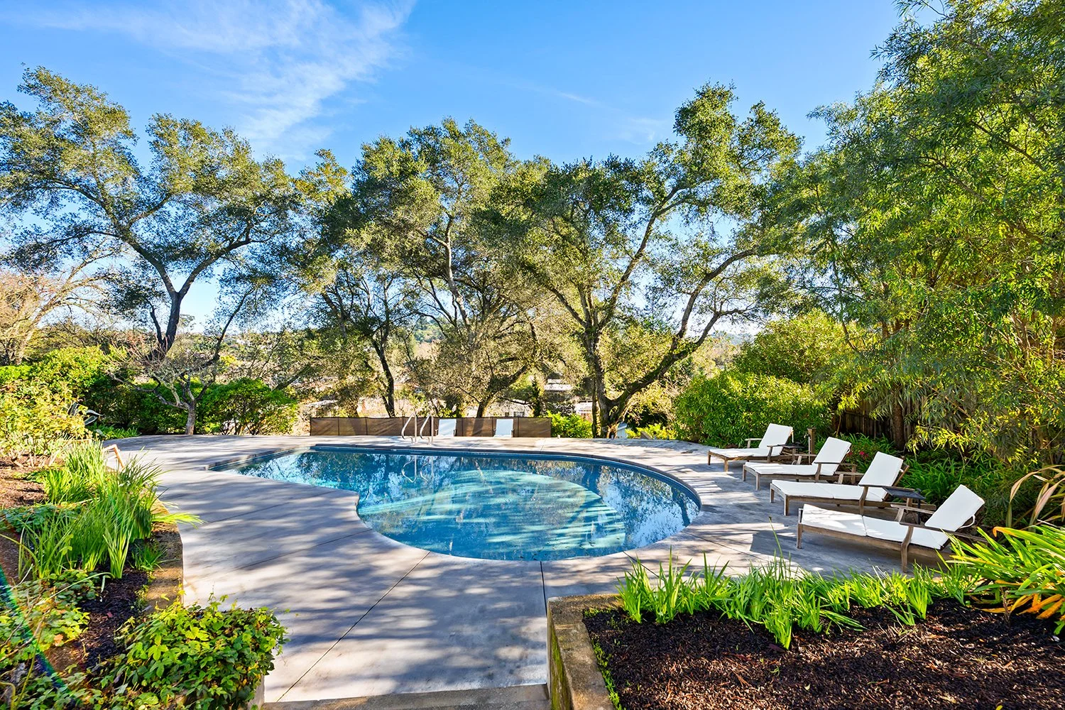 Outdoor backyard with a kidney-shaped swimming pool surrounded by a concrete deck, with several white lounge chairs and lush green trees and bushes under a blue sky.