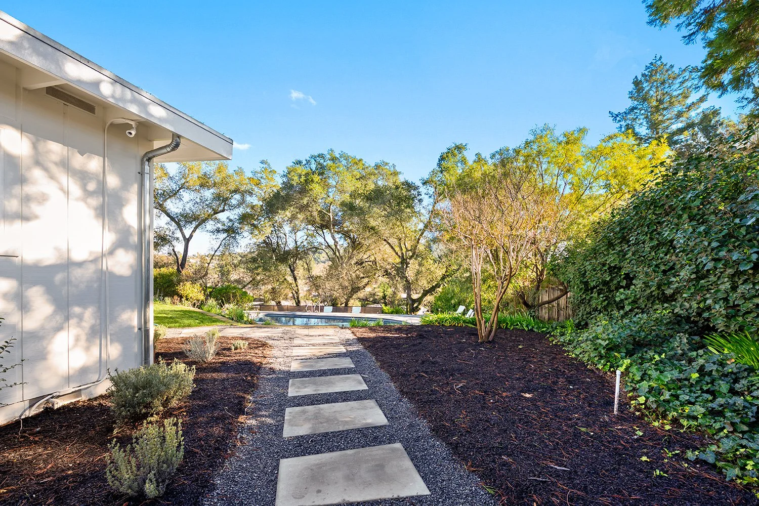 A backyard with a pathway of stepping stones, surrounded by mulch and lush green plants, leading to a pool in the distance, with trees and a blue sky overhead.