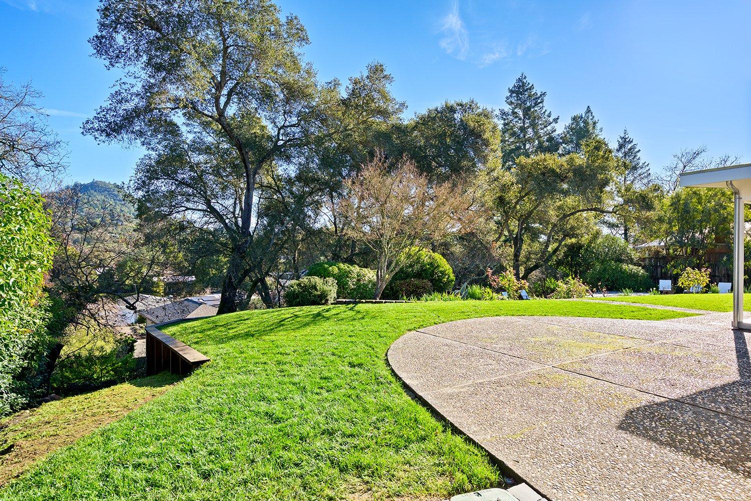 A backyard with a curved concrete patio, lush green grass, and tall trees under a clear blue sky.