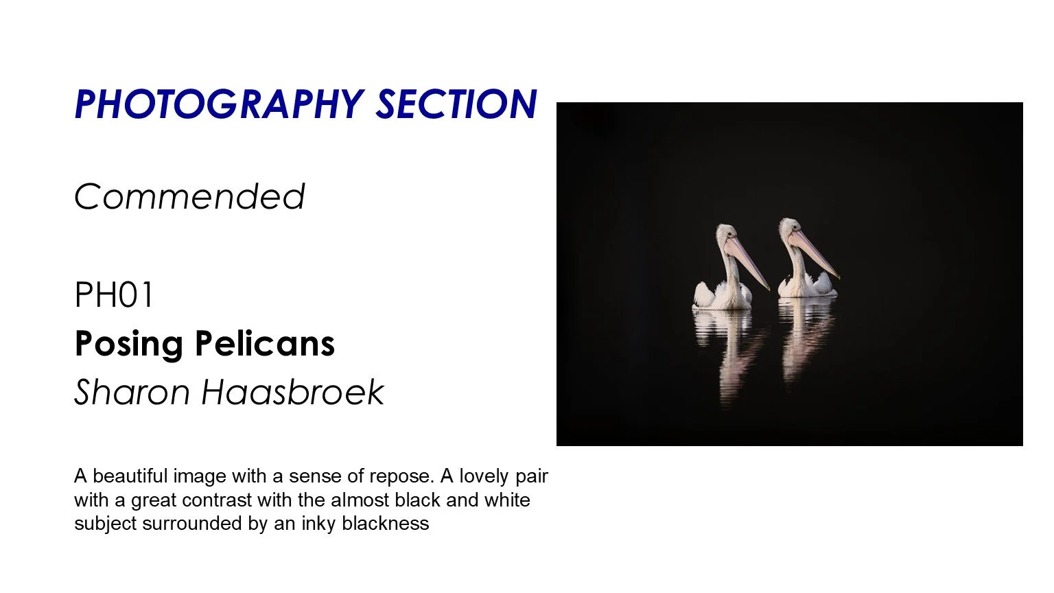 Slide58.JPG