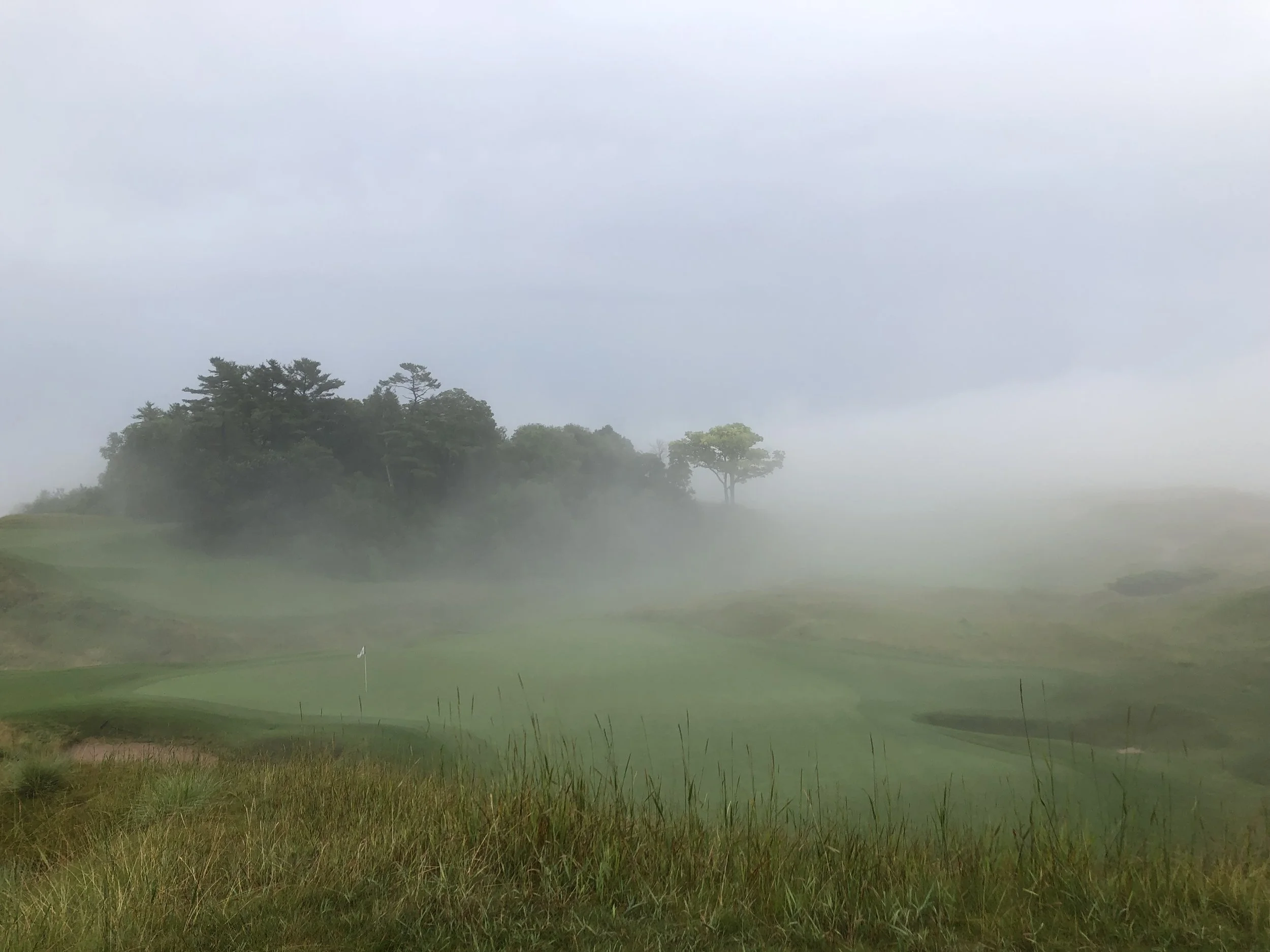 NOVEMBER 2025: THANKSGIVING AND TINY TOTS