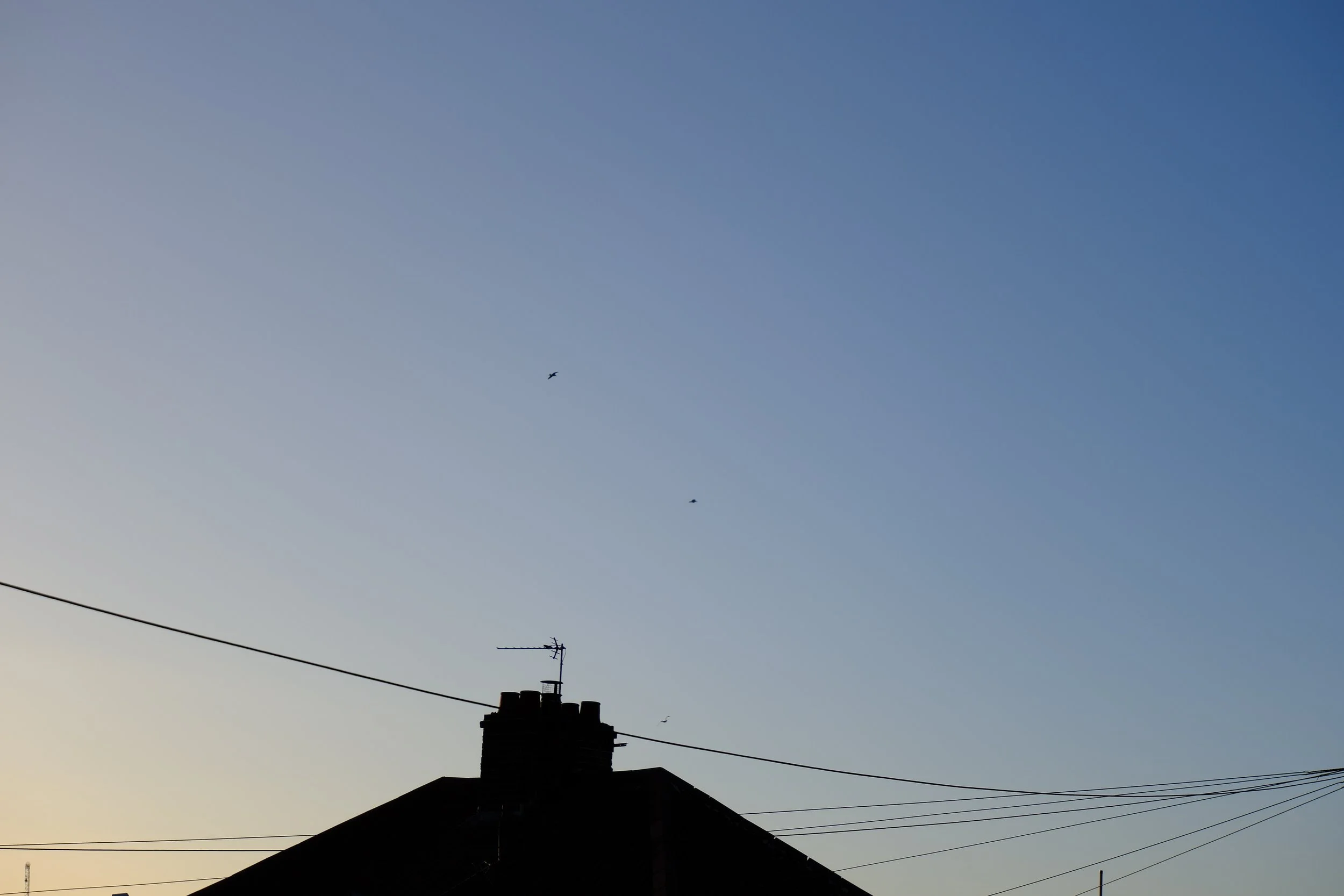 Silhouette of a house with an antenna on the roof against a blue sky with a few birds flying