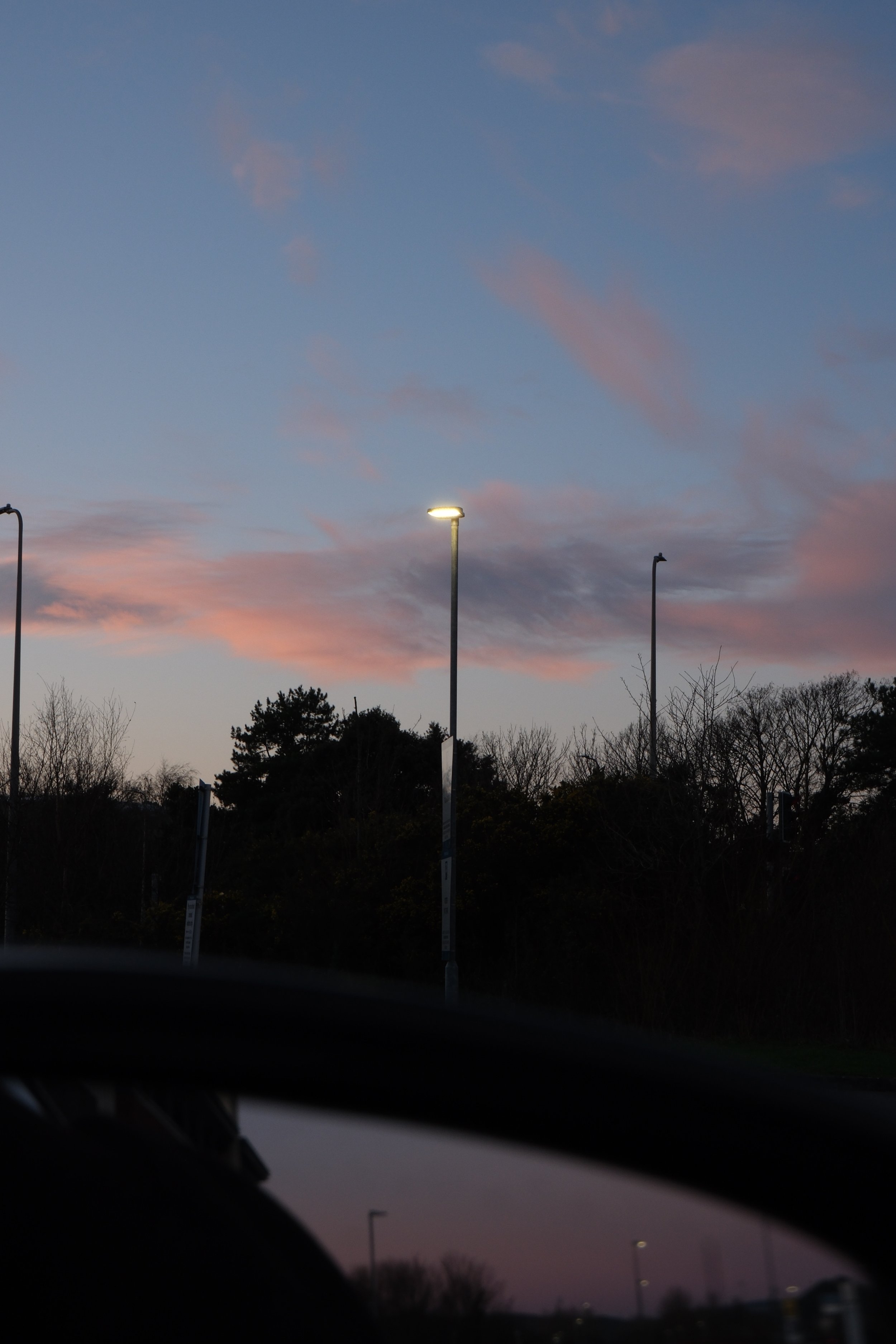 Sky at dusk with pink and gray clouds, streetlights, and silhouettes of trees.