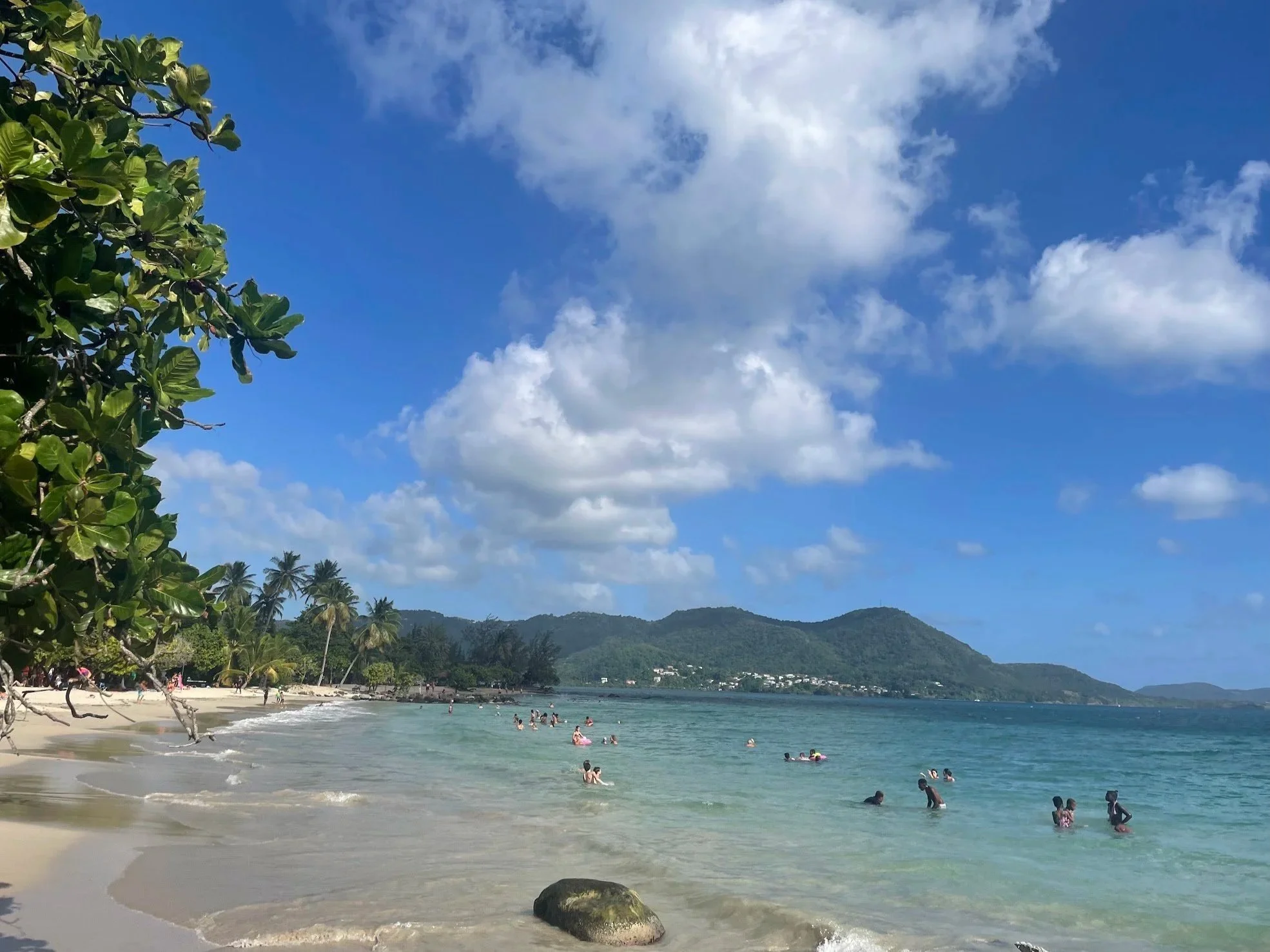 Trade Winds to Martinique; One Year in the West Indies