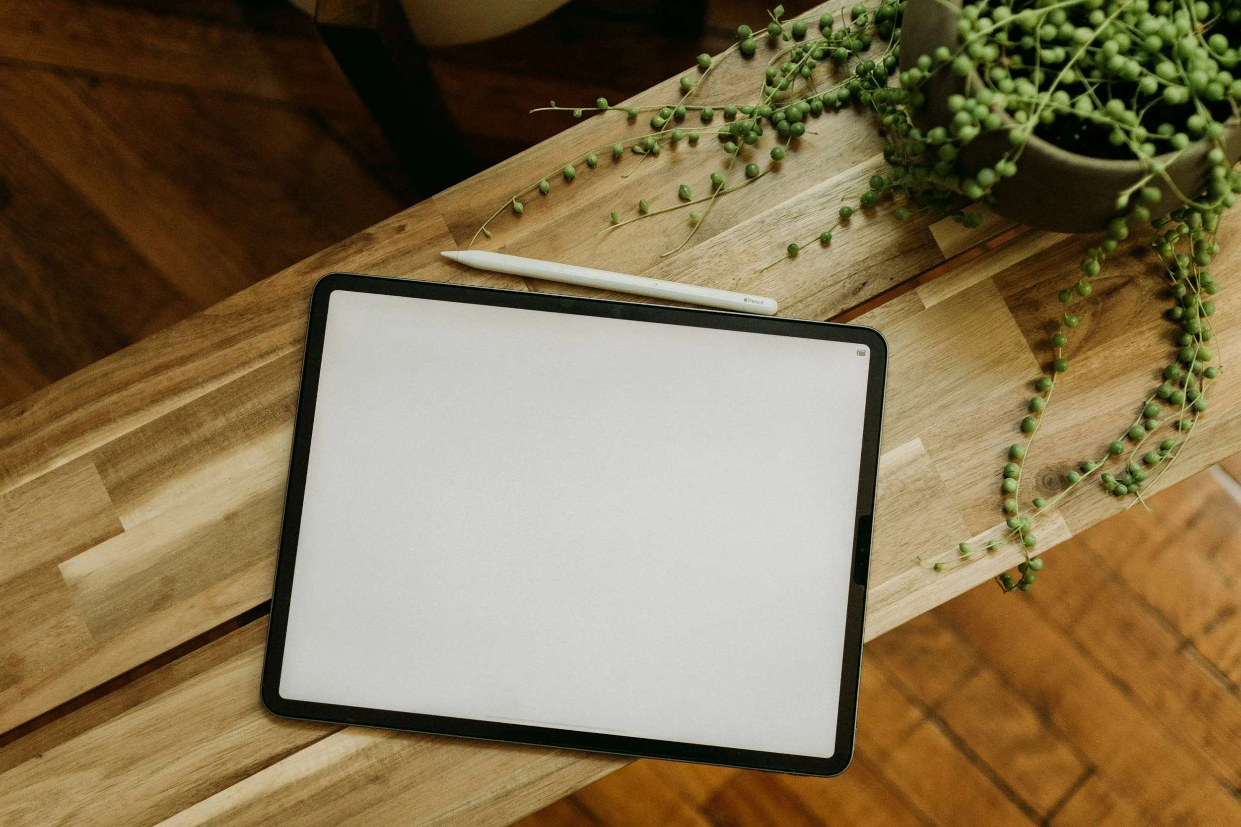 A tablet with a stylus resting on a wooden table next to a potted green plant with trailing vines.