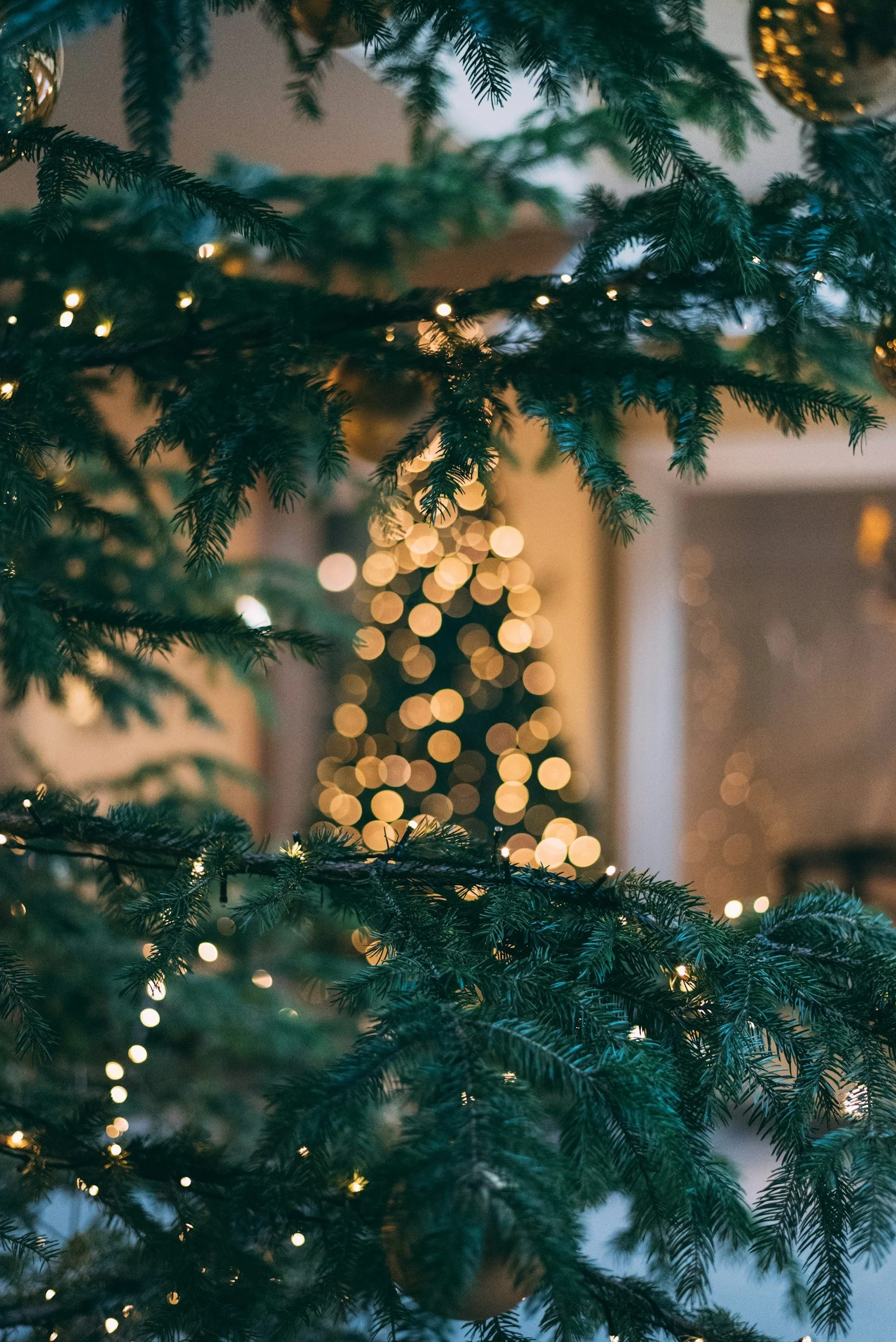 Close-up of a decorated Christmas tree with lights and ornaments, with a blurred background of another lit Christmas tree and warm lighting.