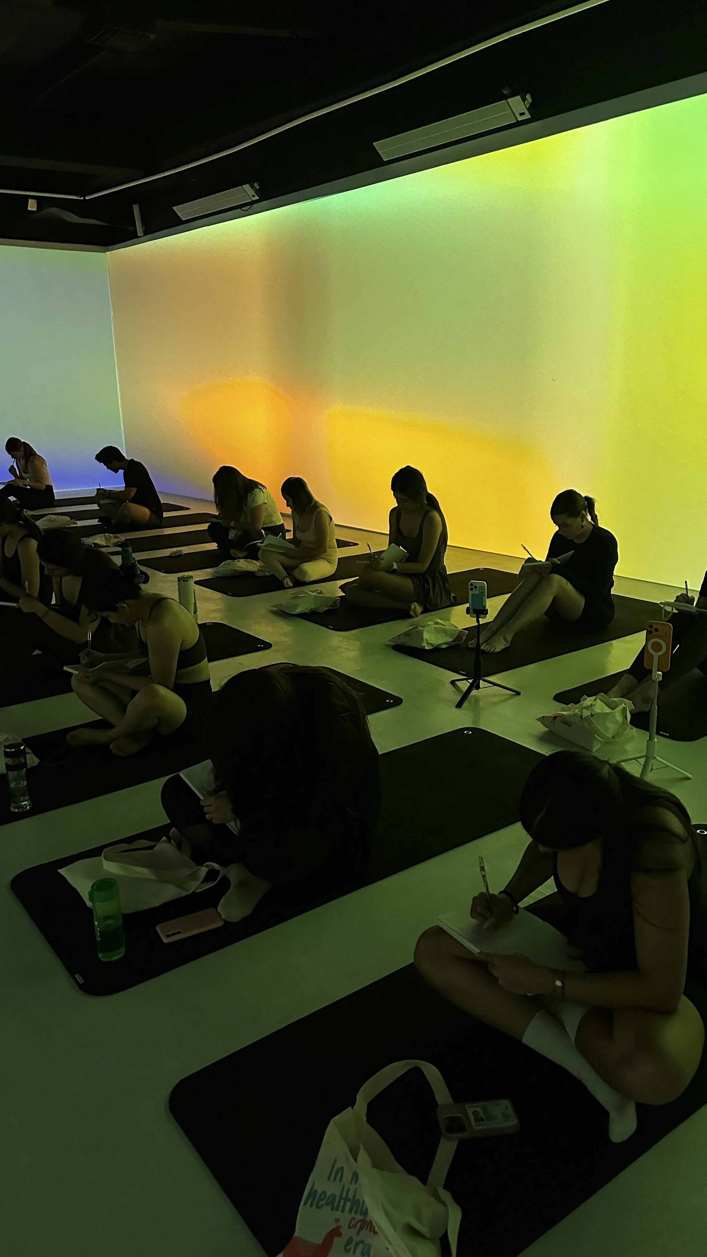 Taller de journaling (CROM) - Noviembre 2025