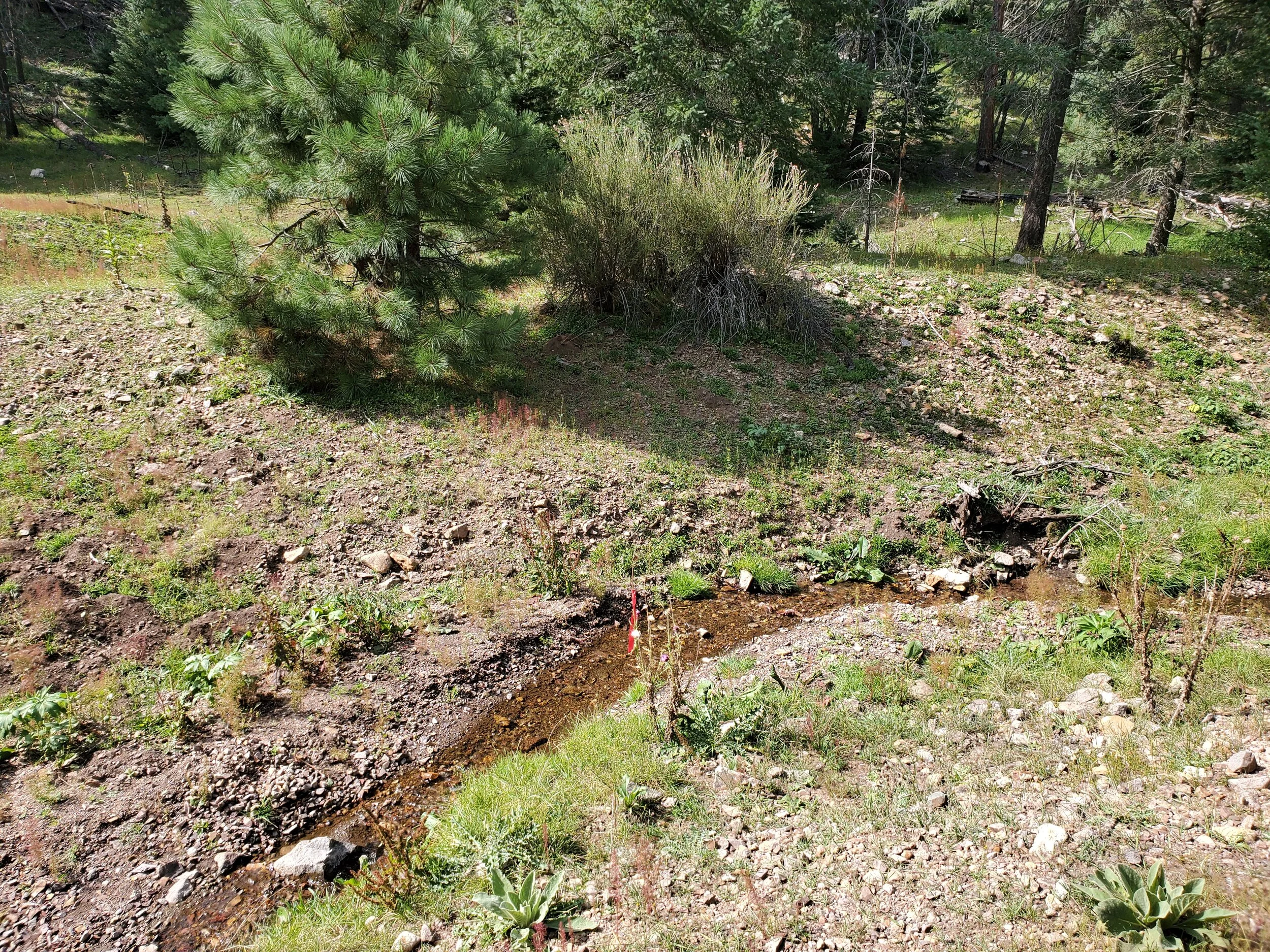 Area of the Big Bear creek suitable for beaver dam analogs.