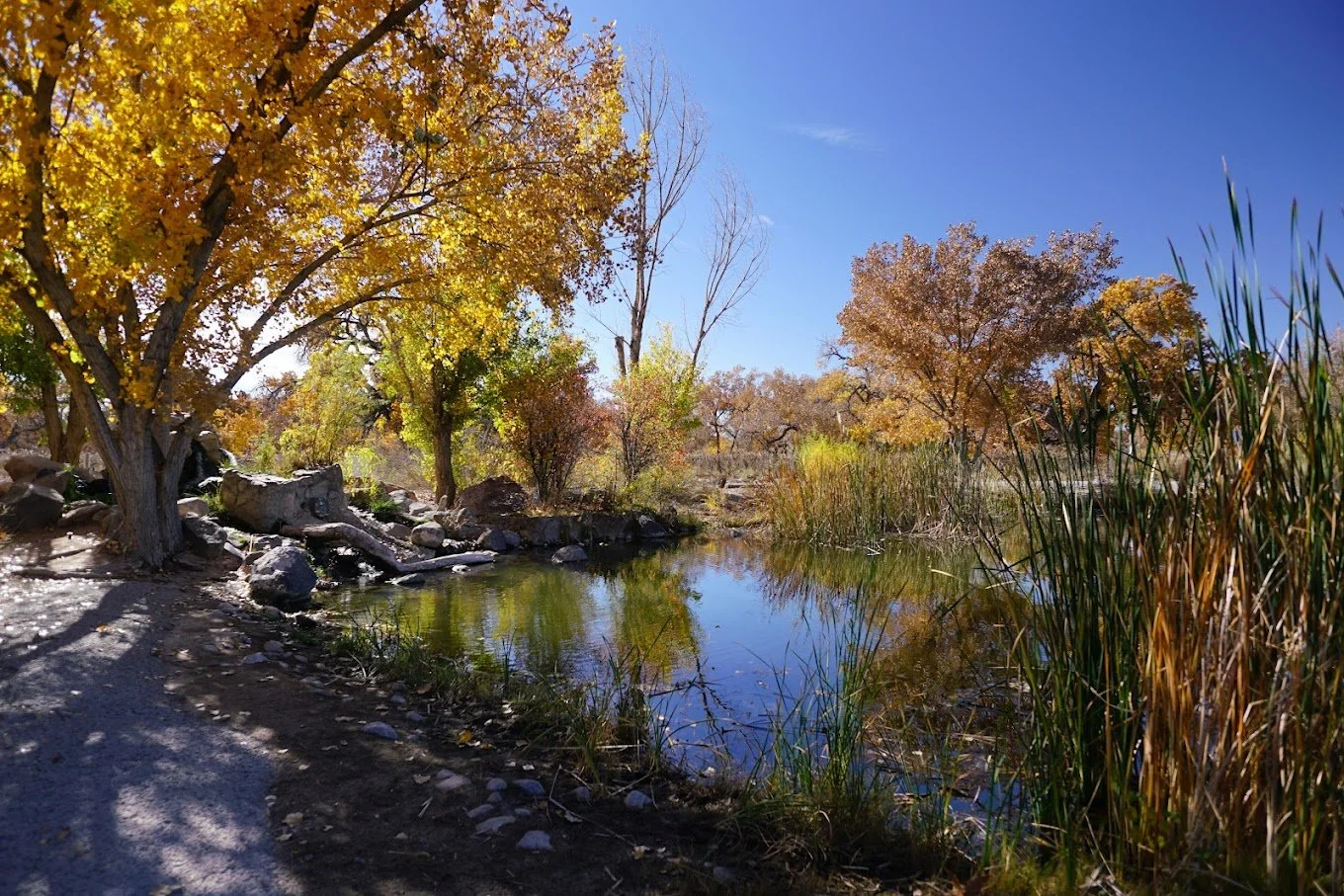 SPRING MEMBERSHIP PICNIC, SOCIAL & FAMILY FLY FISHING DAY