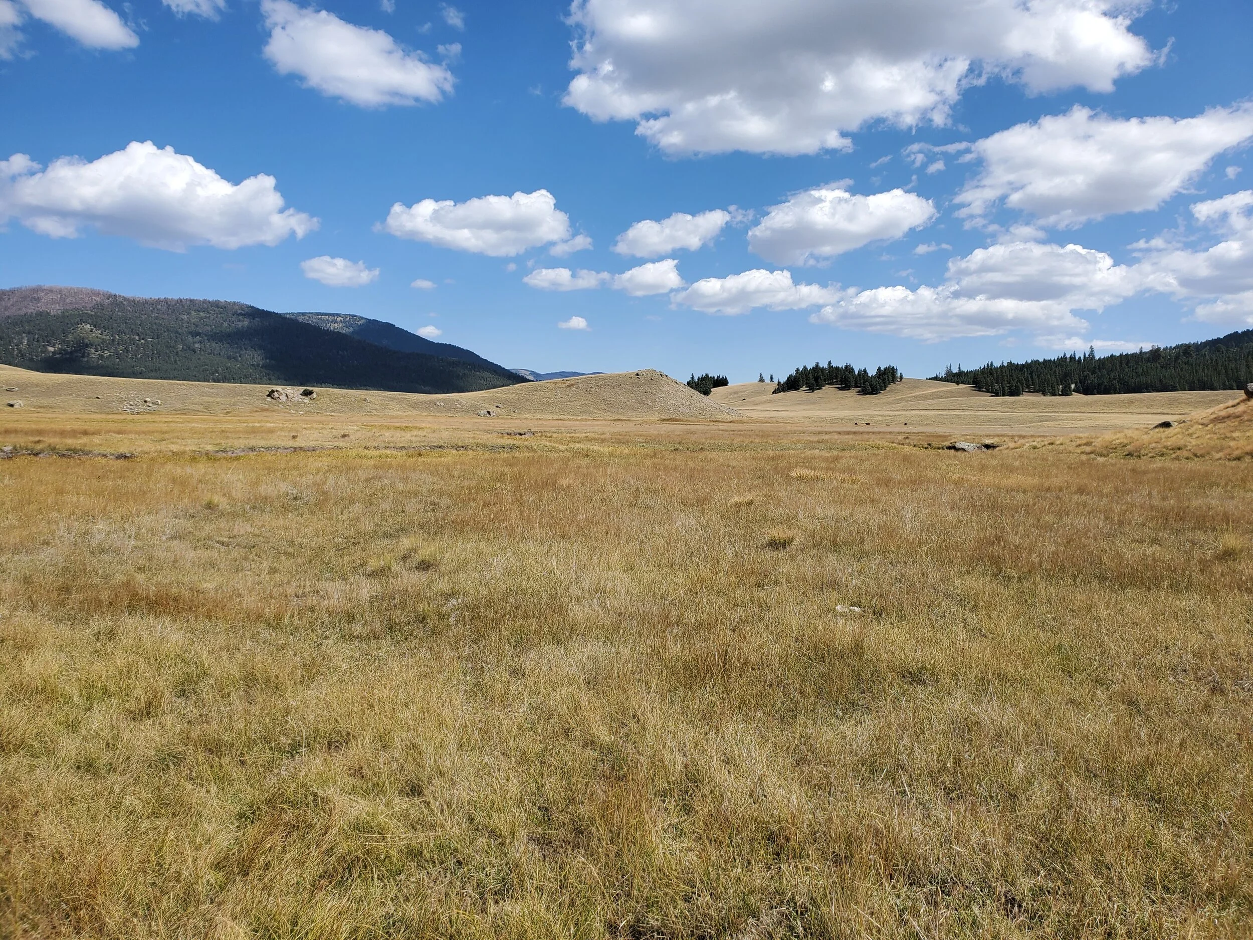 Valles Caldera