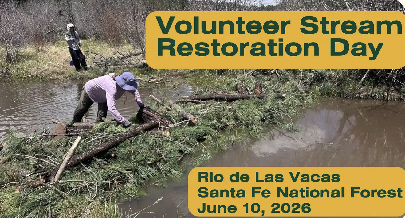 Volunteer Stream Restoration Day