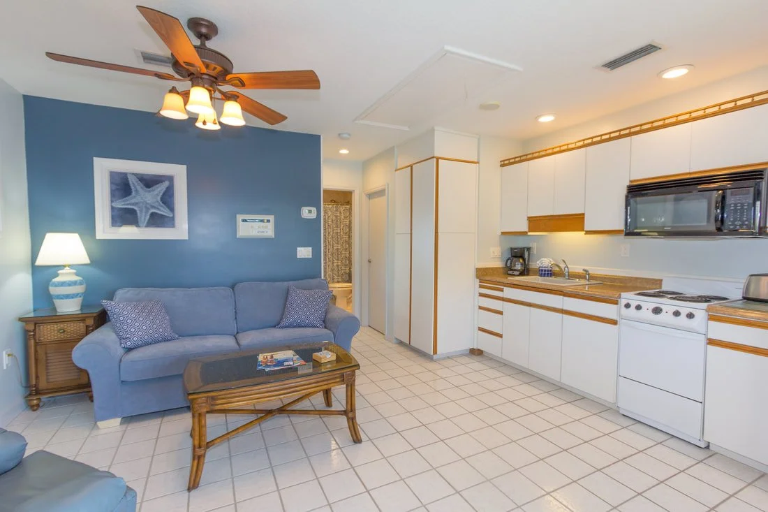 Living Area and Kitchen