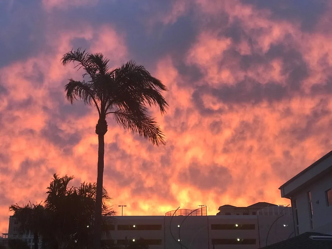 Sunset with a Palm Tree