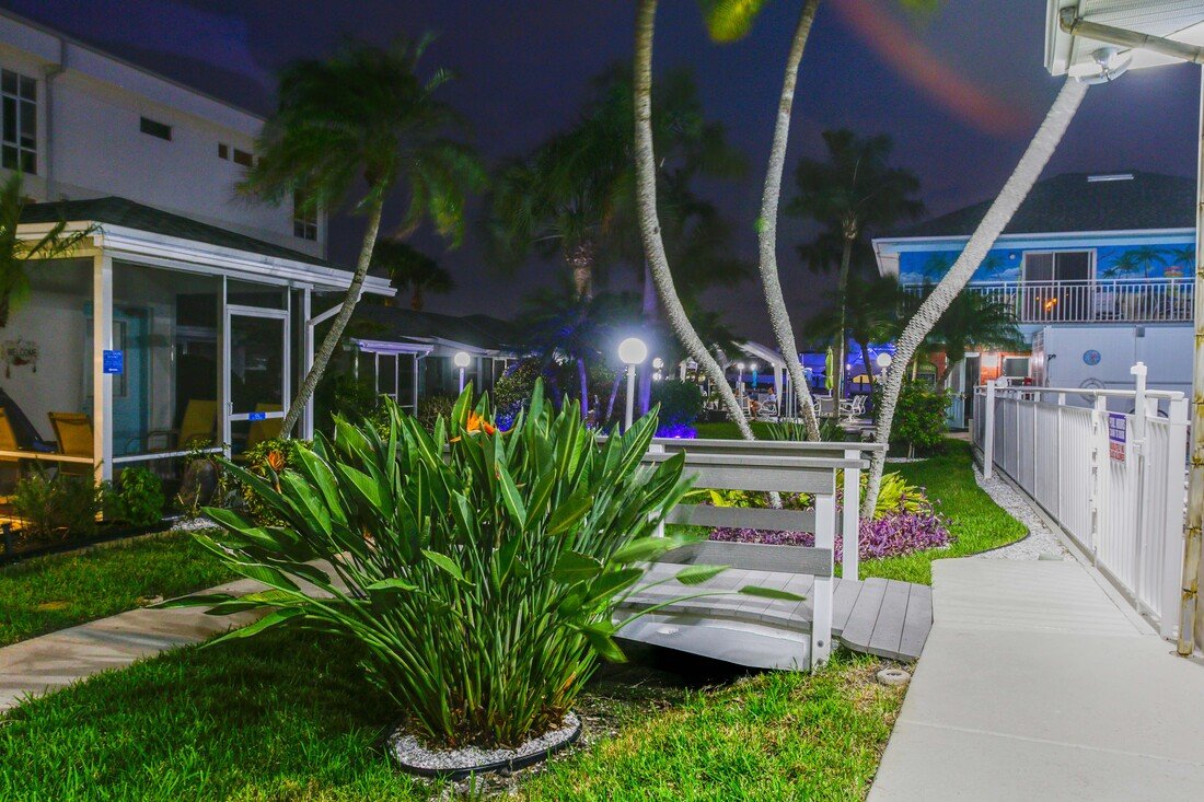 Tropical Grounds at Night