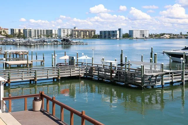 Marina from aboveweb.jpeg