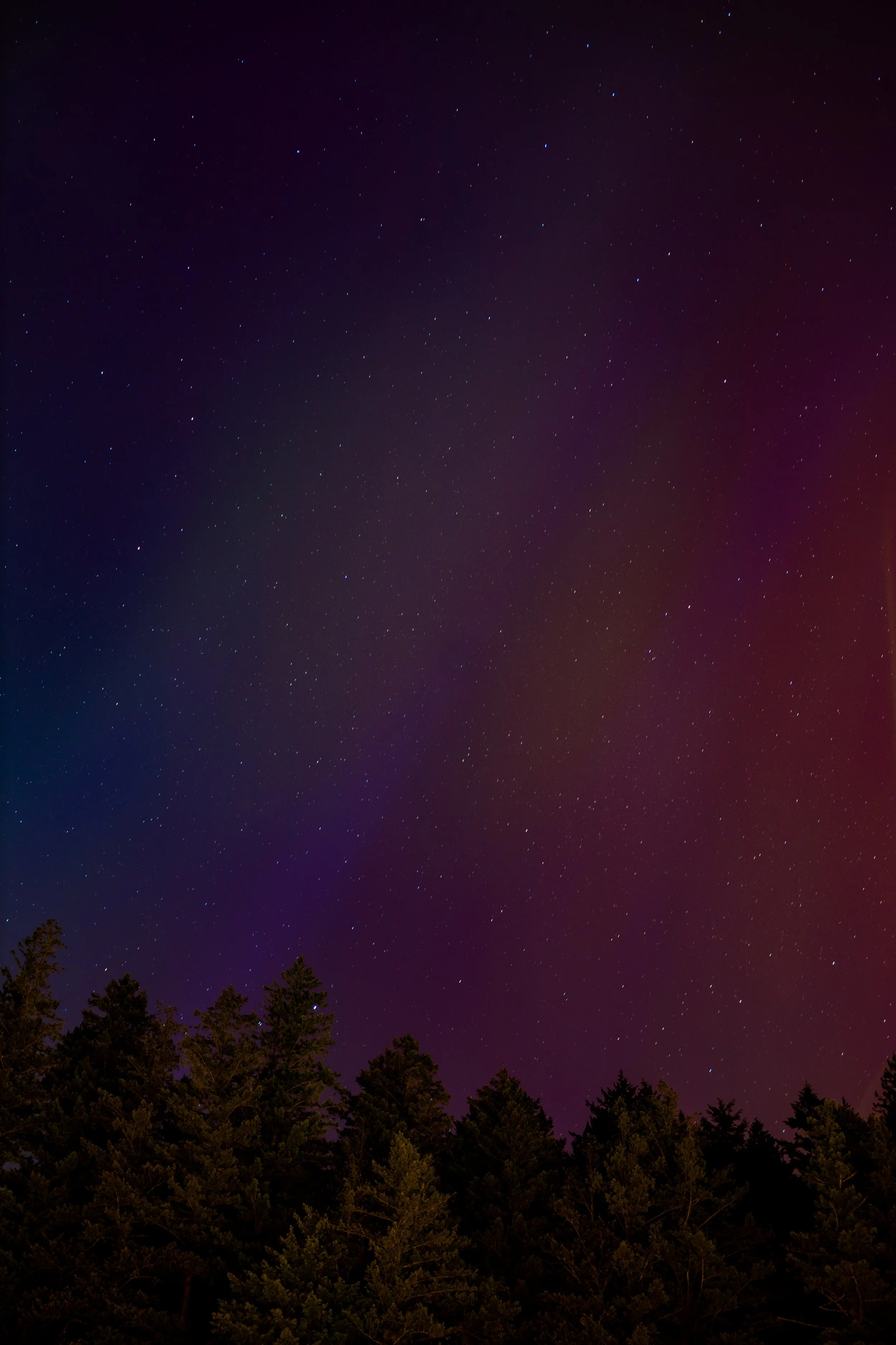 Night sky filled with stars above a silhouette of a forest.