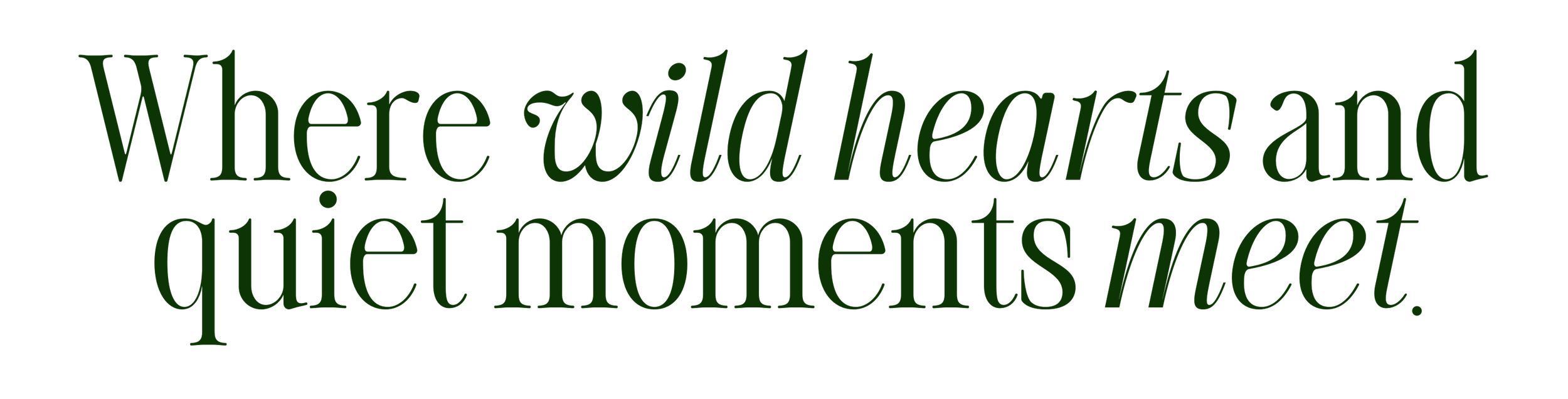 Quote: "Where wild hearts and quiet moments meet." in green text on a black background.