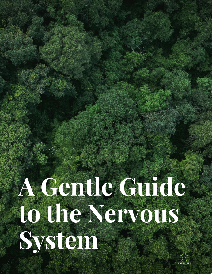 A Gentle Guide to the Nervous System