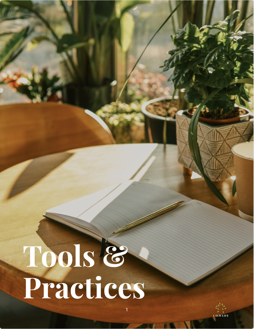 CALM Life™ Tools & Practices Workbook