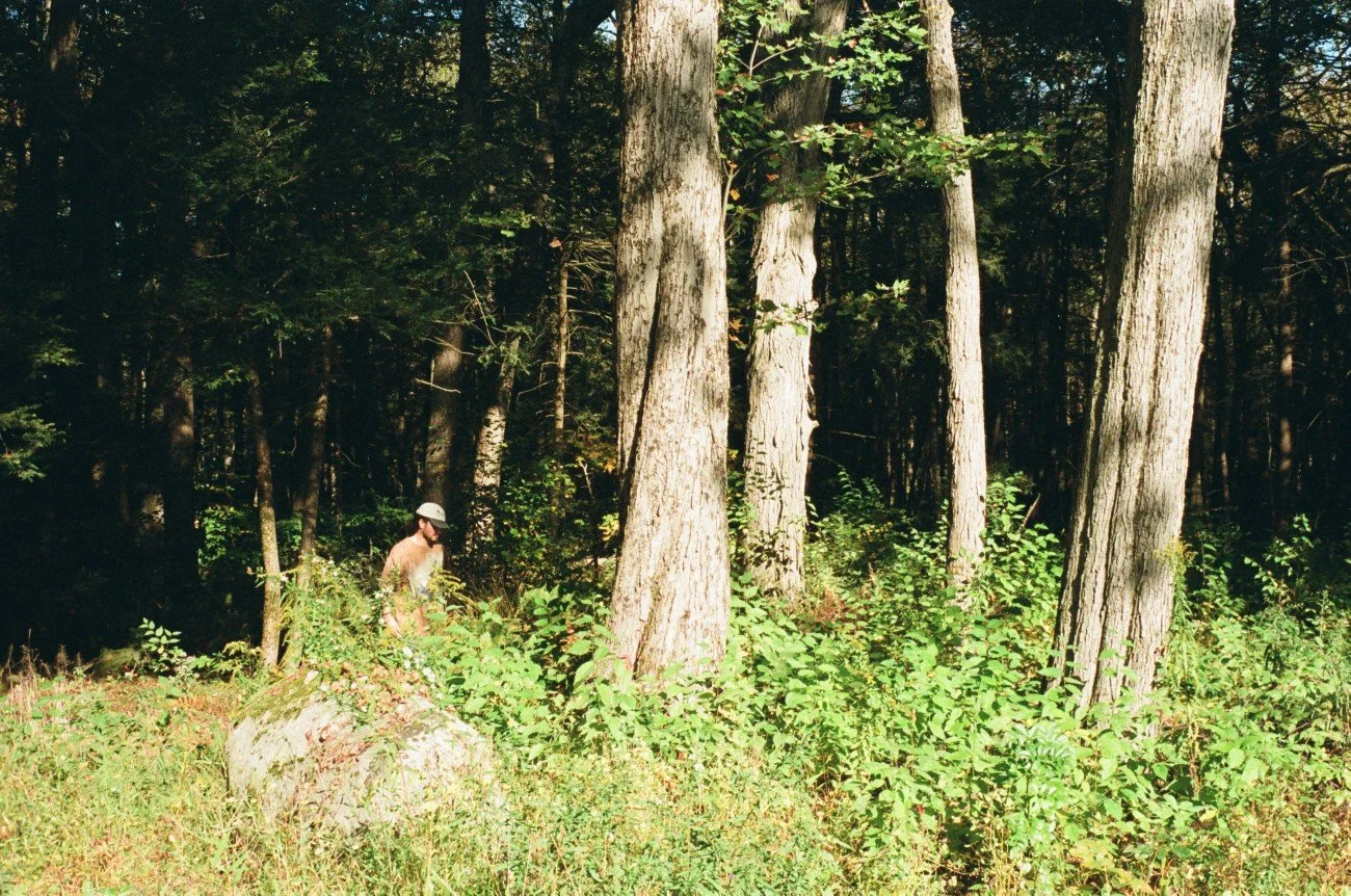 A person wearing a white hat and sunglasses walking through a dense forest with tall trees and green underbrush.