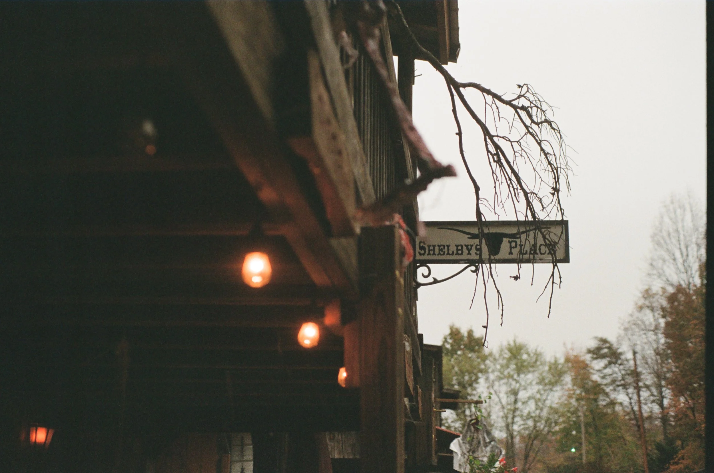A rustic outdoor scene with a sign reading 'Shelby's Place' hanging from a metal arm, with bare tree branches and an overcast sky in the background.