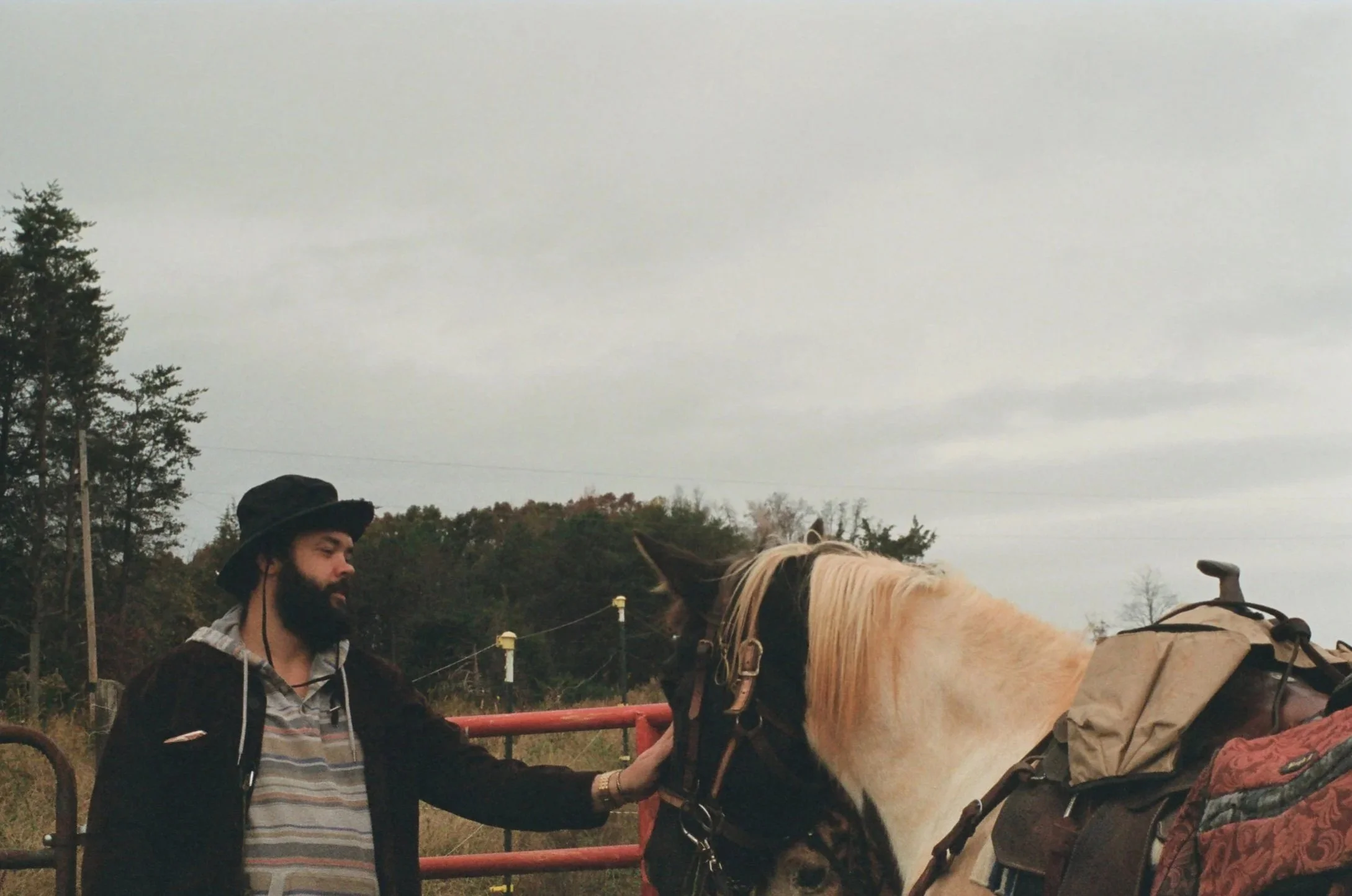A man with a black hat and beard reaches out to touch a cream-colored horse with a black mane, near a red gate outdoors on a cloudy day.