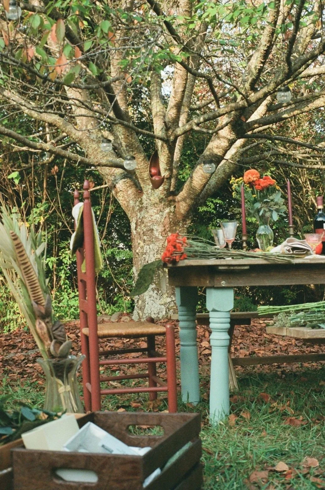 An outdoor scene featuring a decorated table with flowers and candles under a tree, with a red chair and various objects on the ground and a background of trees and foliage.