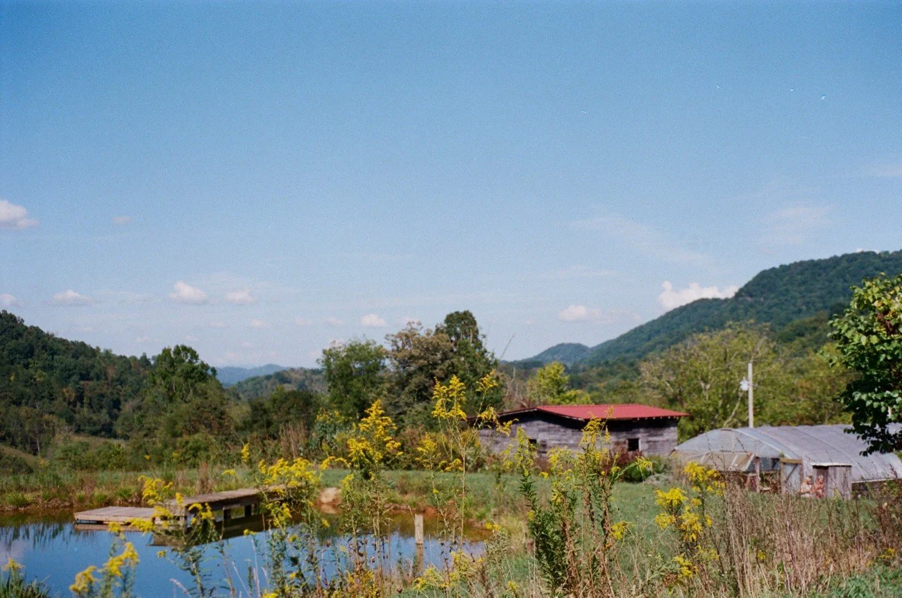 A rural landscape with a pond, yellow wildflowers, green trees, a small barn with a red roof, and mountains in the background under a blue sky with scattered clouds.