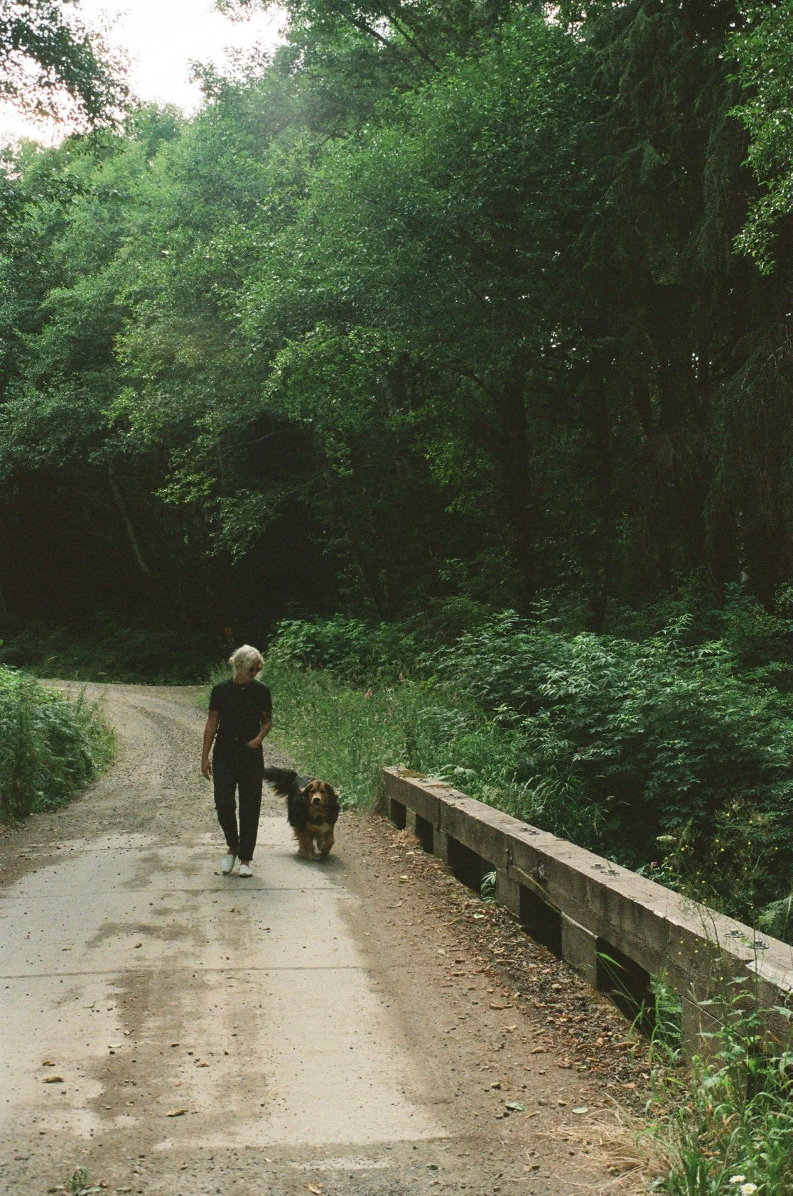 A woman walking with a dog along a dirt trail in a lush, green forested area.