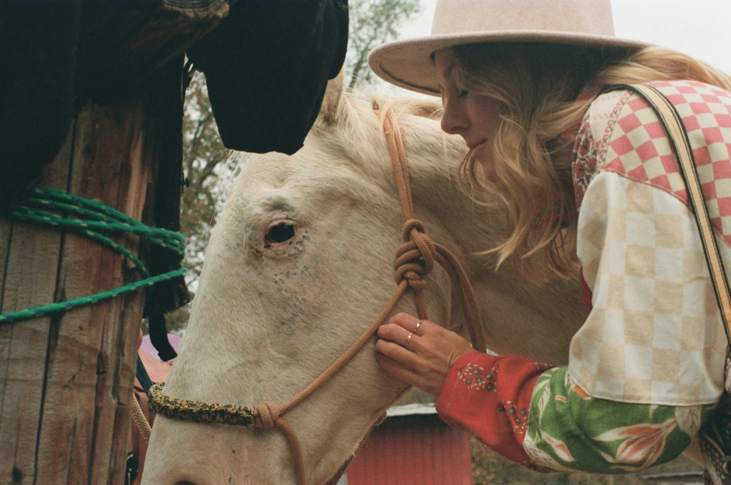 A woman with blonde hair wearing a plaid shirt and a wide-brimmed hat gently petting a white horse.