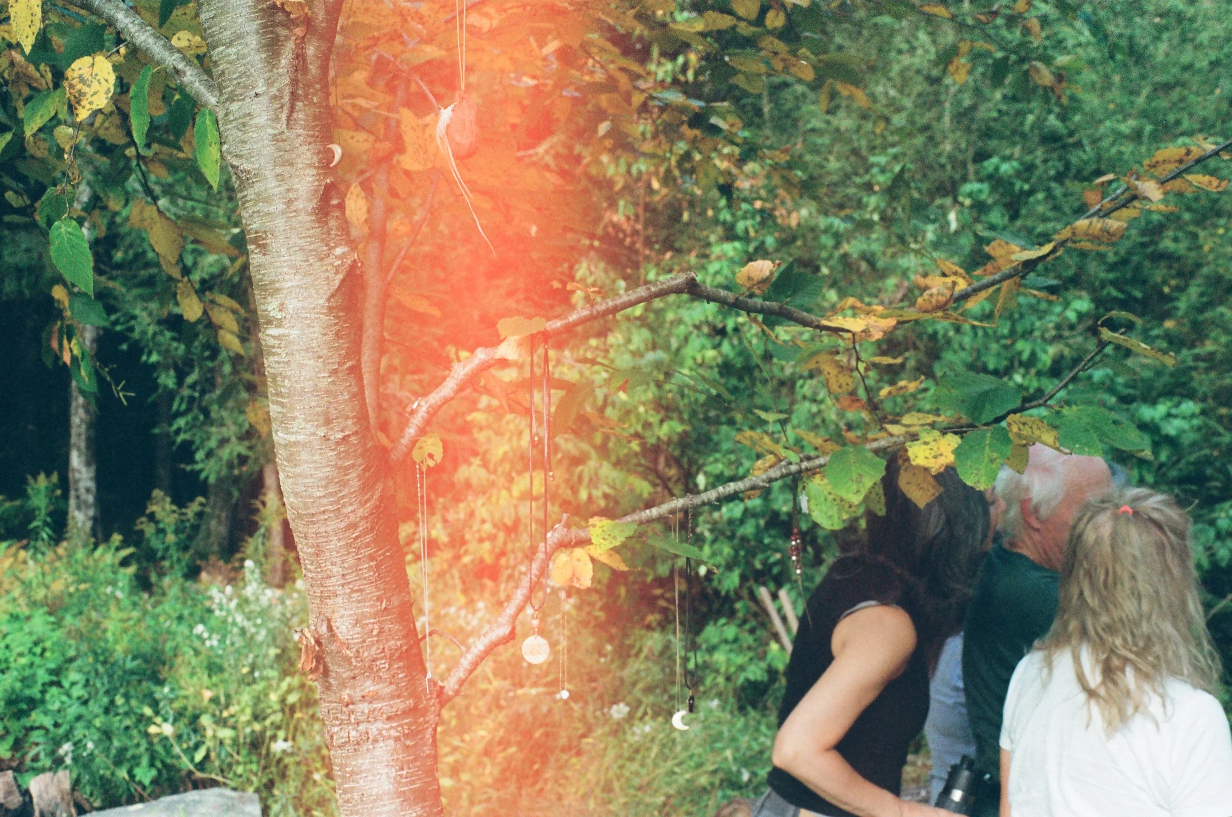 Three people in a garden looking up at a tree with hanging decorations. The image has a red lens flare on the left side.