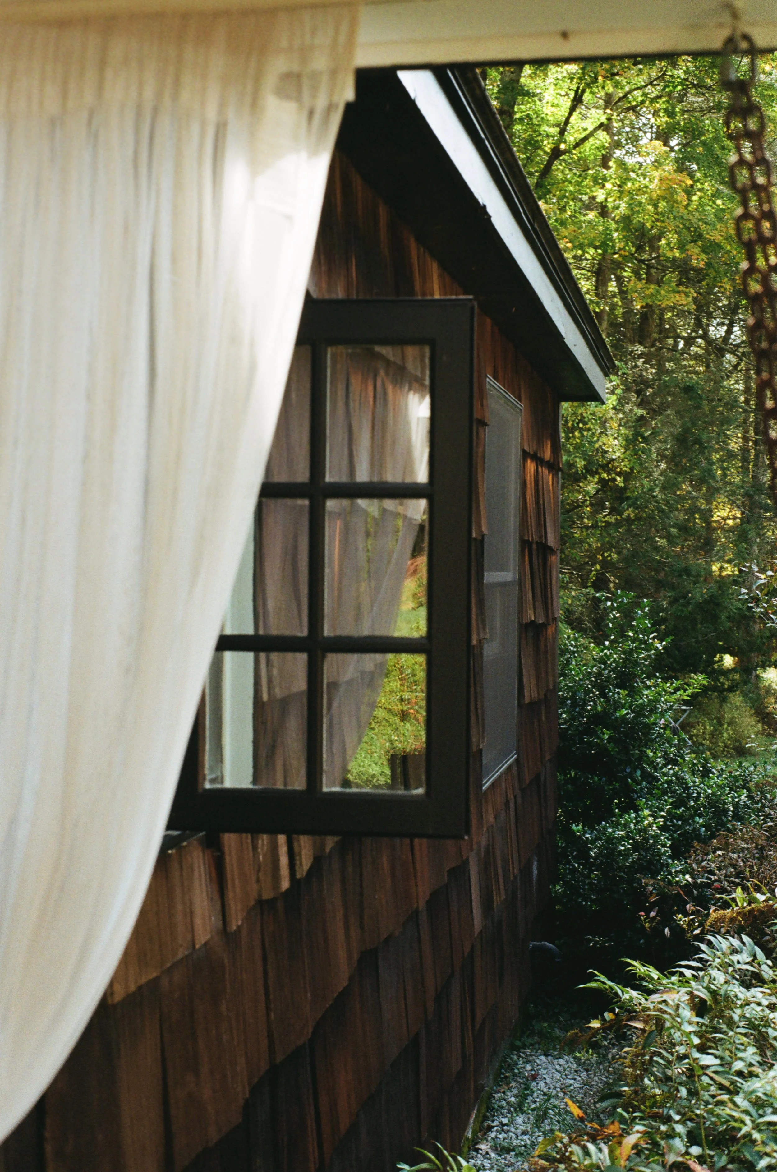 View of a wooden house with a black-framed window, surrounded by green trees and foliage, seen from inside through a window with a partially open beige curtain.