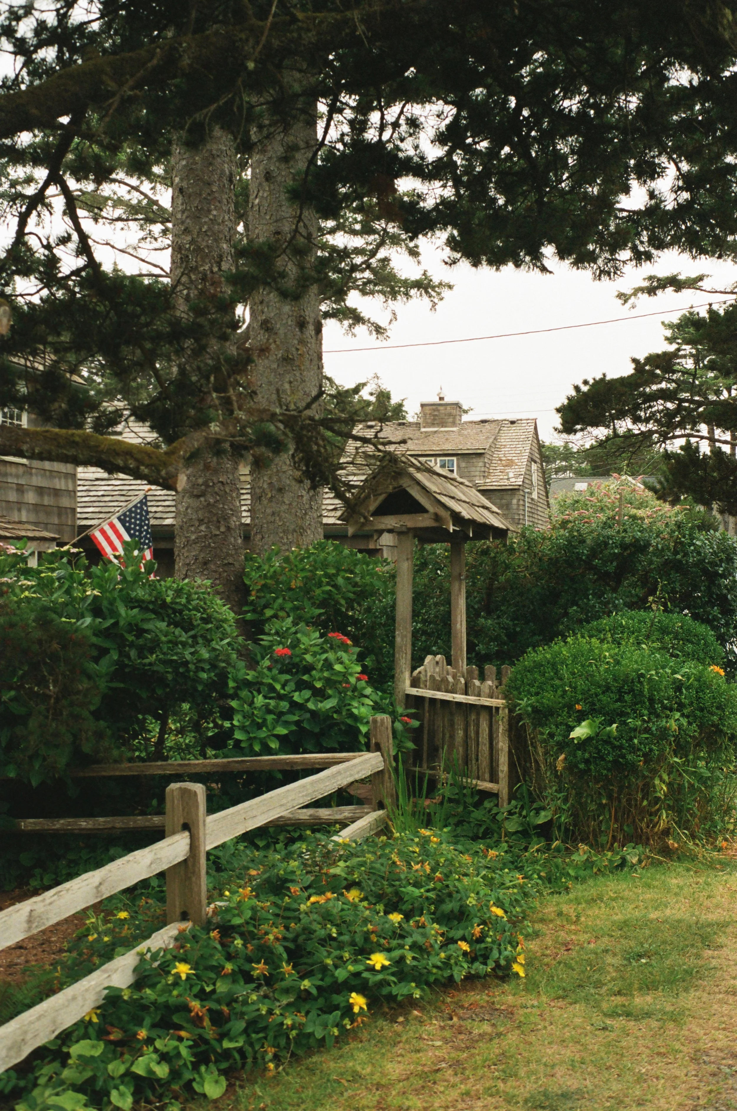 A garden scene with a wooden fence, lush greenery, shrubs with yellow flowers, and a small wooden gate. Two large trees and a house with an American flag are in the background.