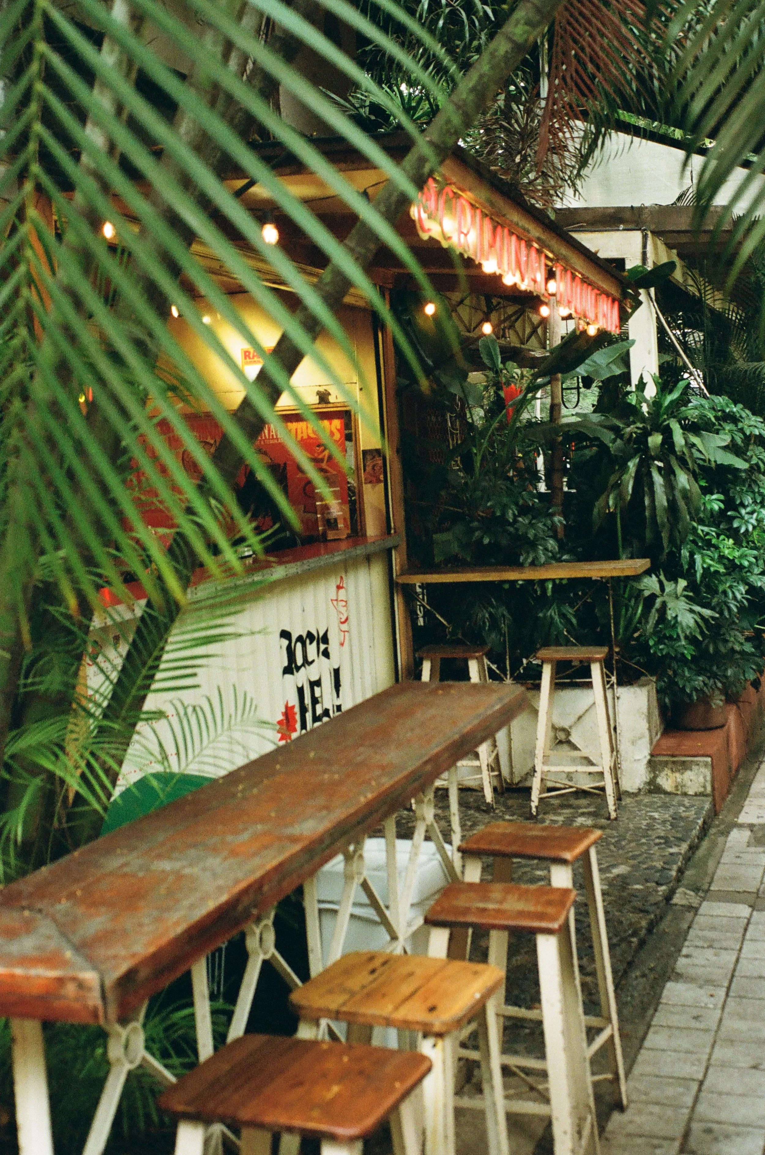 An outdoor seating area of a small restaurant or bar, with wooden stools and tables, surrounded by lush green tropical plants, and a bar counter with string lights overhead.