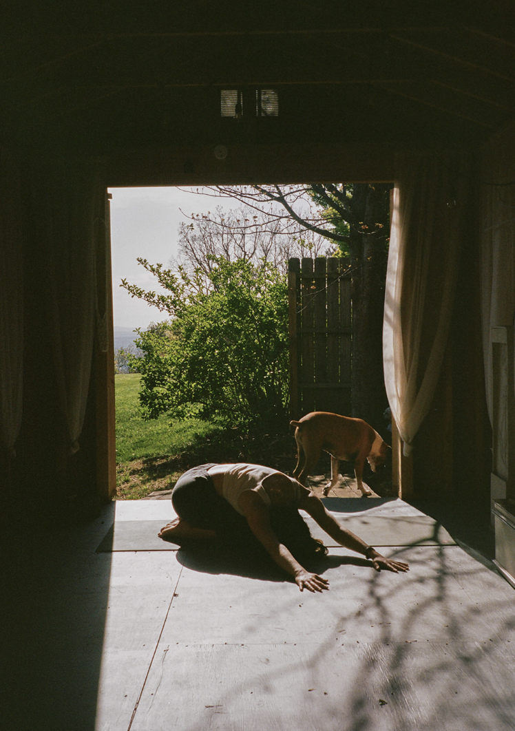 Person practicing yoga in a dimly lit room with sunlight streaming in from an open door, revealing a yard with a bush and a dog standing near the door.