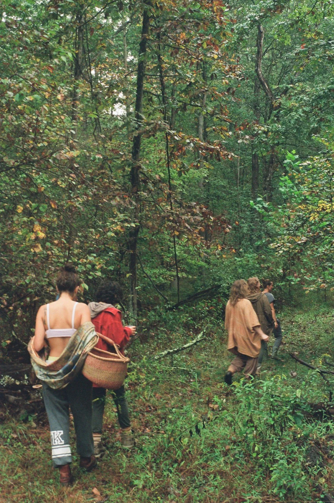 Group of five people hiking on a forest trail surrounded by green trees.