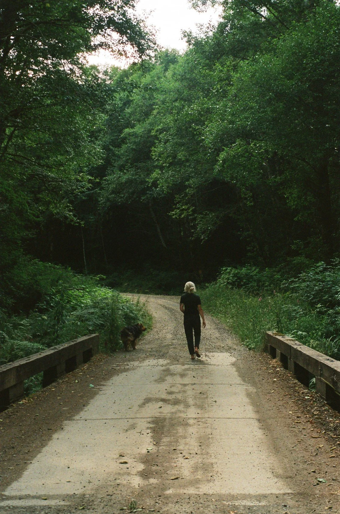 A woman walking on a dirt road with a dog on a leash in a lush, green forest.