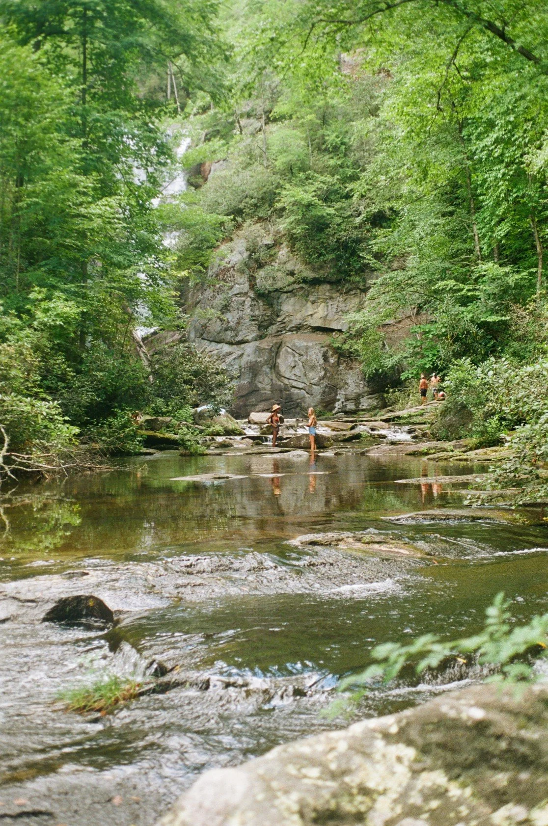 People wading in a shallow river surrounded by lush green trees and large rocks in a forested area.