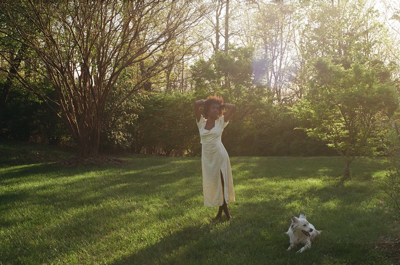 A woman in a white dress standing on a grassy lawn with a dog lying nearby in a park or garden during the daytime, with trees and sunlight in the background.