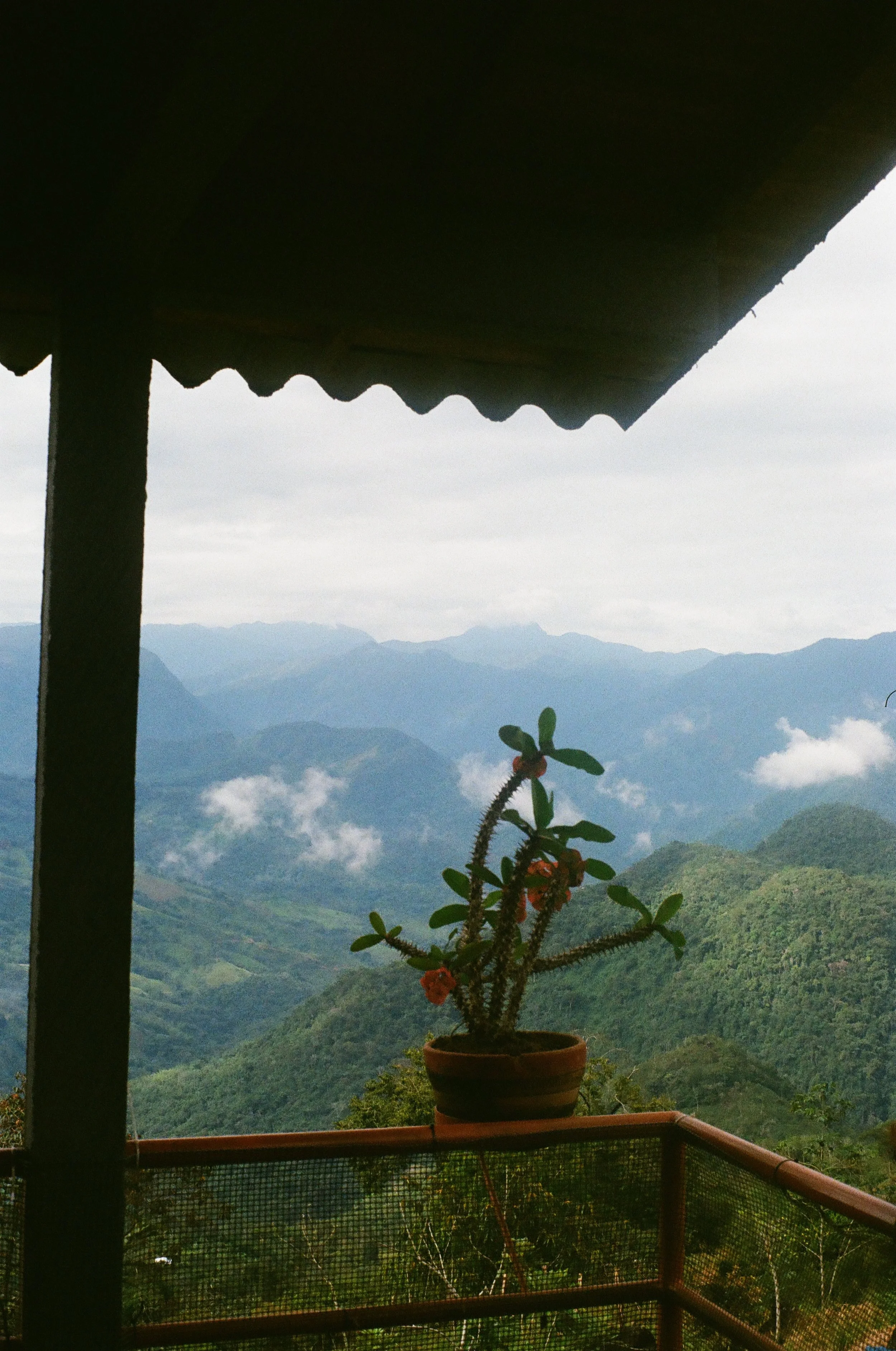 A view of a mountain landscape with hills and clouds, seen from a balcony with a potted cactus in the foreground.